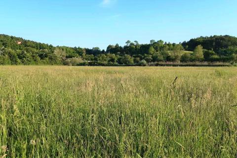 Istra, Cerovlje, poljoprivredno zemljište 18775m2