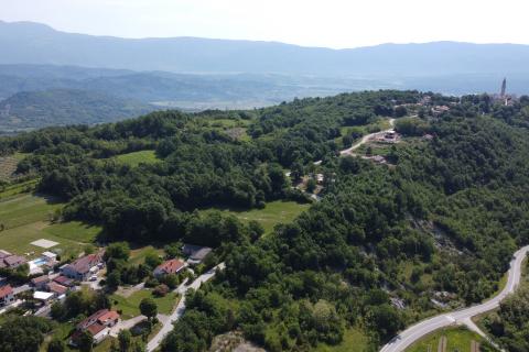 ISTRIA, PIĆAN - 3 holiday homes for 22 people 4500 m2 garden!