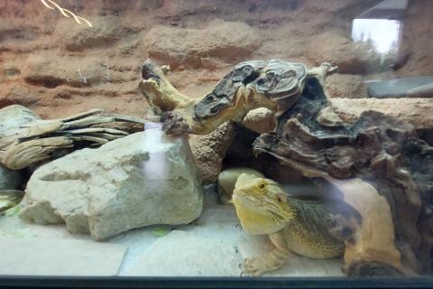 Niskoenergetska kuća Lokve 400m od jezera