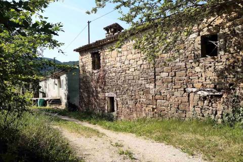 Istra, Draguć starina za adaptaciju sa poljoprivrednim zemljištem i maslinikom