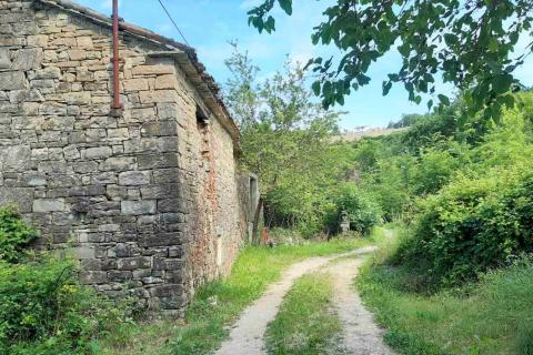 Istra, Draguć starina za adaptaciju sa poljoprivrednim zemljištem i maslinikom