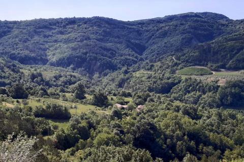 Istra, Draguć starina za adaptaciju sa poljoprivrednim zemljištem i maslinikom