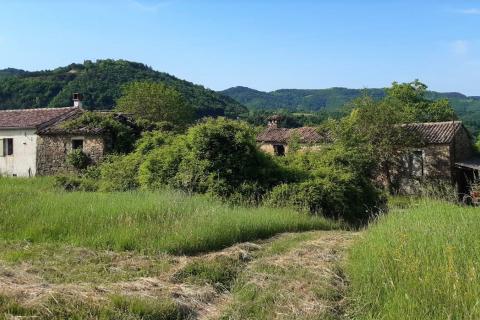 Istra, Draguć okolica, starina za adaptaciju sa poljoprivrednim zemljištem