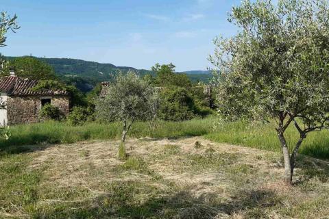 Istra, Draguć okolica, starina za adaptaciju sa poljoprivrednim zemljištem