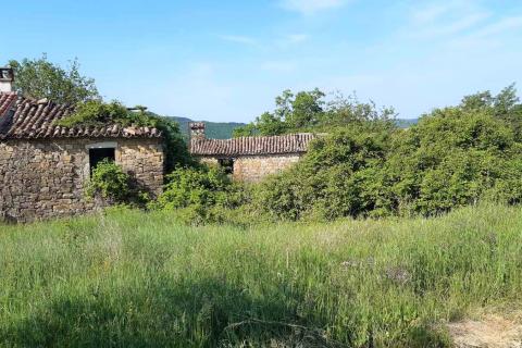 Istra, Draguć okolica, starina za adaptaciju sa poljoprivrednim zemljištem