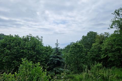 Veprinac, Opatija - Okolica, 1.560m2