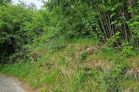 Veprinac, Opatija - Okolica, 1.560m2