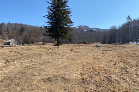 Земельный участок строительного назначения Platak, Čavle, 4.668m2