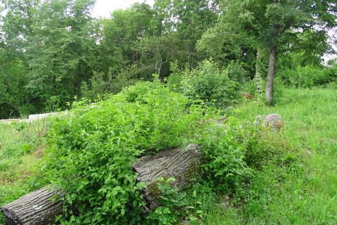 Matulji - Veli Brgud, građevinsko zemljište