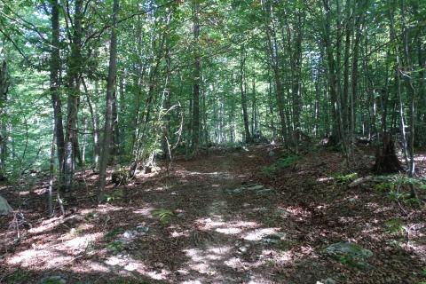 Razdrto-poljoprivredni teren