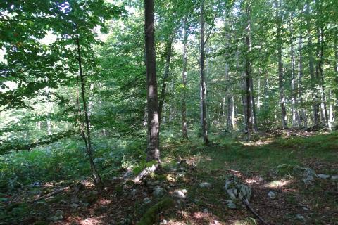 Razdrto-poljoprivredni teren