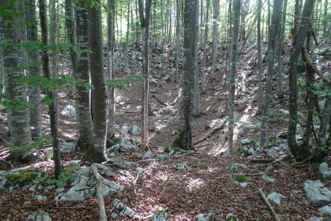 Razdrto-poljoprivredni teren