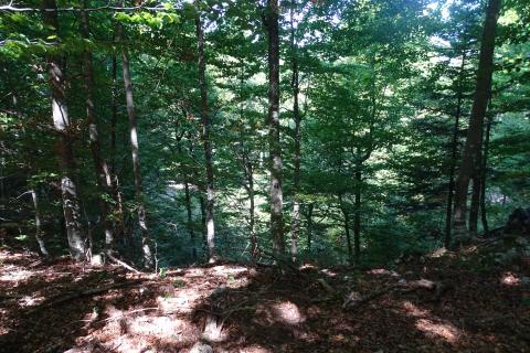 Razdrto-poljoprivredni teren