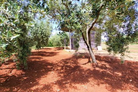 Istra, Novigrad, građevinsko zemljište