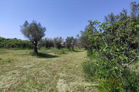 Дом Fažana, 66m2