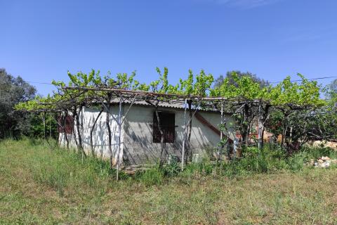 Дом Fažana, 66m2