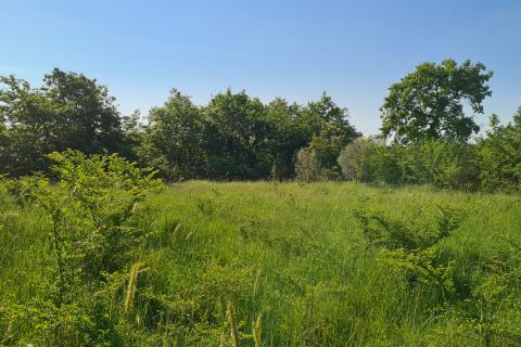 Terreno non edificabile Marčana, 15.438m2