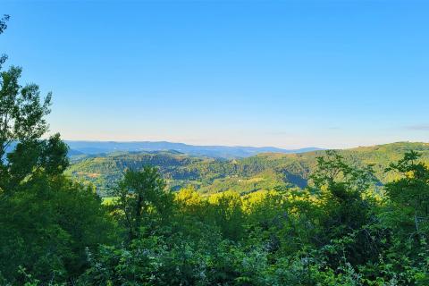 Istra, kuće za obnovu u okolici Motovuna