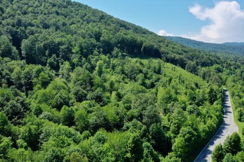 Terreno non edificabile Draga Lukovdolska, Vrbovsko, 8.254m2