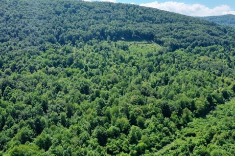 Terreno non edificabile Draga Lukovdolska, Vrbovsko, 8.254m2