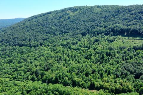 Terreno non edificabile Draga Lukovdolska, Vrbovsko, 8.254m2