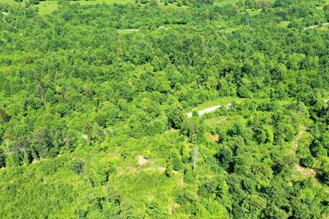 Terreno non edificabile Draga Lukovdolska, Vrbovsko, 8.254m2