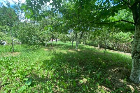 Земельный участок строительного назначения Poljane, Opatija - Okolica, 2.320m2