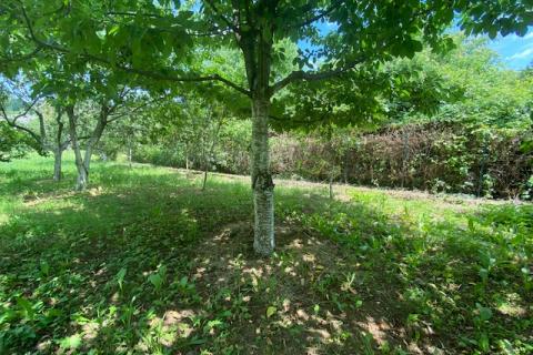 Земельный участок строительного назначения Poljane, Opatija - Okolica, 2.320m2