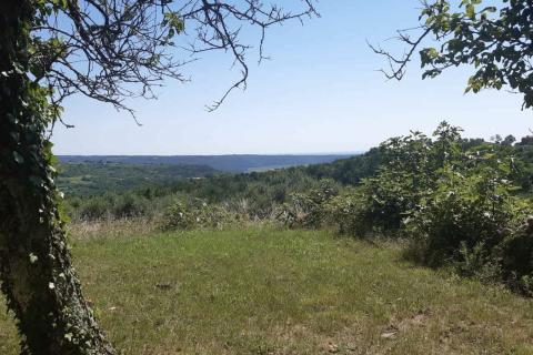 Krasica - okolica, tri autohtone kuće u nizu