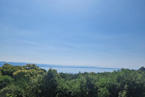 Veprinac-starina za adaptaciju