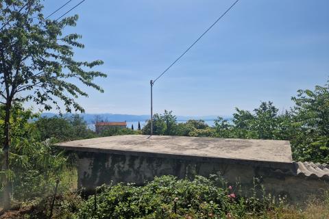 Veprinac-starina za adaptaciju