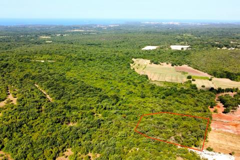 BALE - Šuma s panoramskim pogledom na more i Rovinj