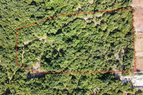 BALE - Šuma s panoramskim pogledom na more i Rovinj