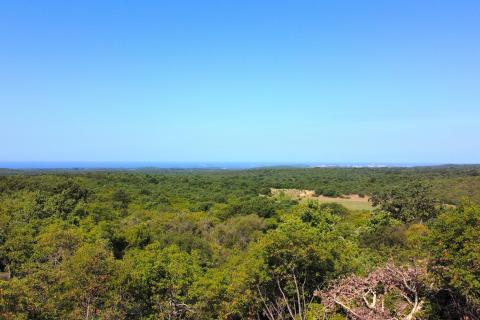BALE - Šuma s panoramskim pogledom na more i Rovinj