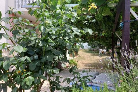 Дом Galižana, Vodnjan, 2.322m2