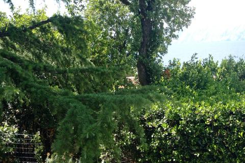 House Novi Vinodolski, 270m2