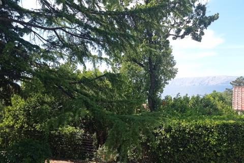 House Novi Vinodolski, 270m2