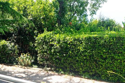 House Novi Vinodolski, 270m2