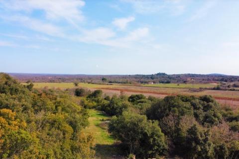 Building plot Rovinj, 13.000m2