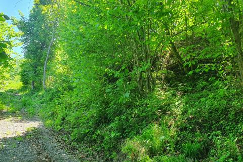 Terreno non edificabile Lukovdol, Vrbovsko, 3.520m2