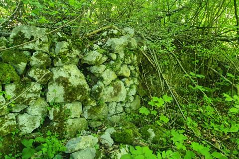 Terreno non edificabile Lukovdol, Vrbovsko, 3.520m2