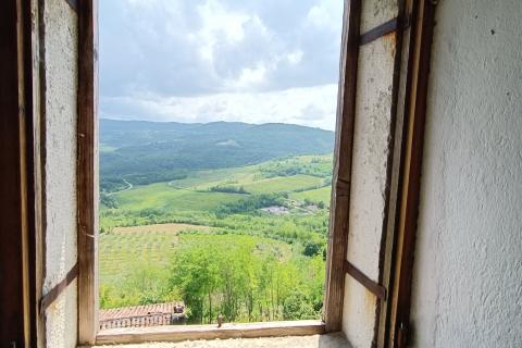 Istra, Motovun, kuća s idiličnim pogledom, prilika za kreativce