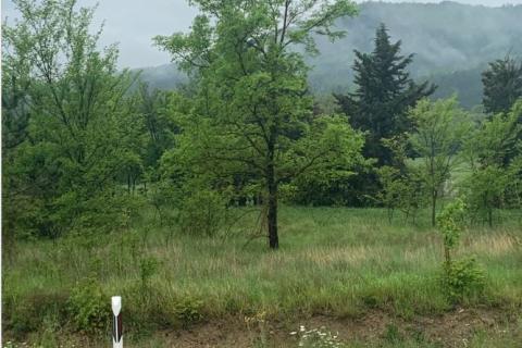 Istra, Buzet, građevinsko zemljište od 1727 m2 u neposrednoj blizini granice