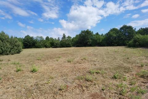 ISTRA, 2 h -poljoprivrednog zemljišta sa započetom gradnjom stambeno-gospodarskog objekta