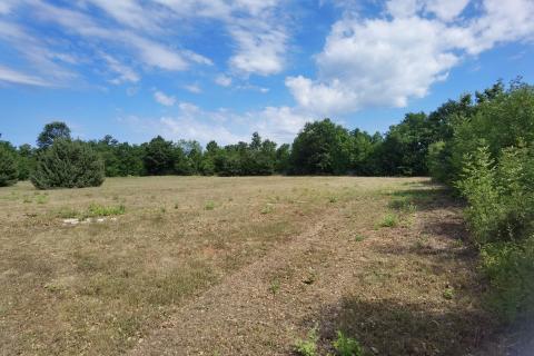 ISTRA, 2 h -poljoprivrednog zemljišta sa započetom gradnjom stambeno-gospodarskog objekta