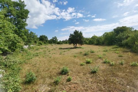 ISTRA, 2 h -poljoprivrednog zemljišta sa započetom gradnjom stambeno-gospodarskog objekta