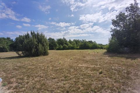 ISTRA, 2 h -poljoprivrednog zemljišta sa započetom gradnjom stambeno-gospodarskog objekta