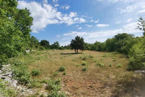 ISTRA, 2 h -poljoprivrednog zemljišta sa započetom gradnjom stambeno-gospodarskog objekta