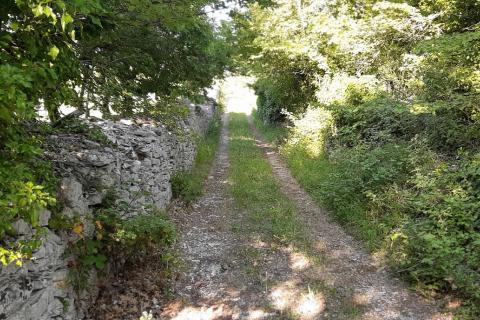 Земельный участок нестроительного назначения Vodnjan, 8.729m2