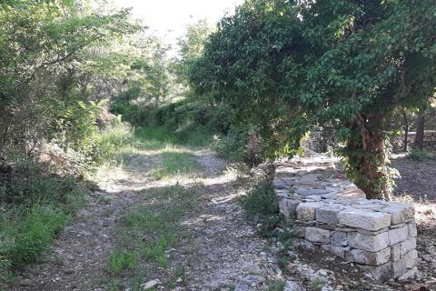 Земельный участок нестроительного назначения Vodnjan, 8.729m2